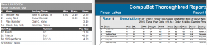Finger Lakes Race #1 061516