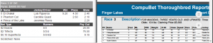 Finger Lakes Race #3 062716