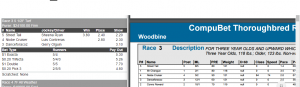 Woodbine Race #3 061716